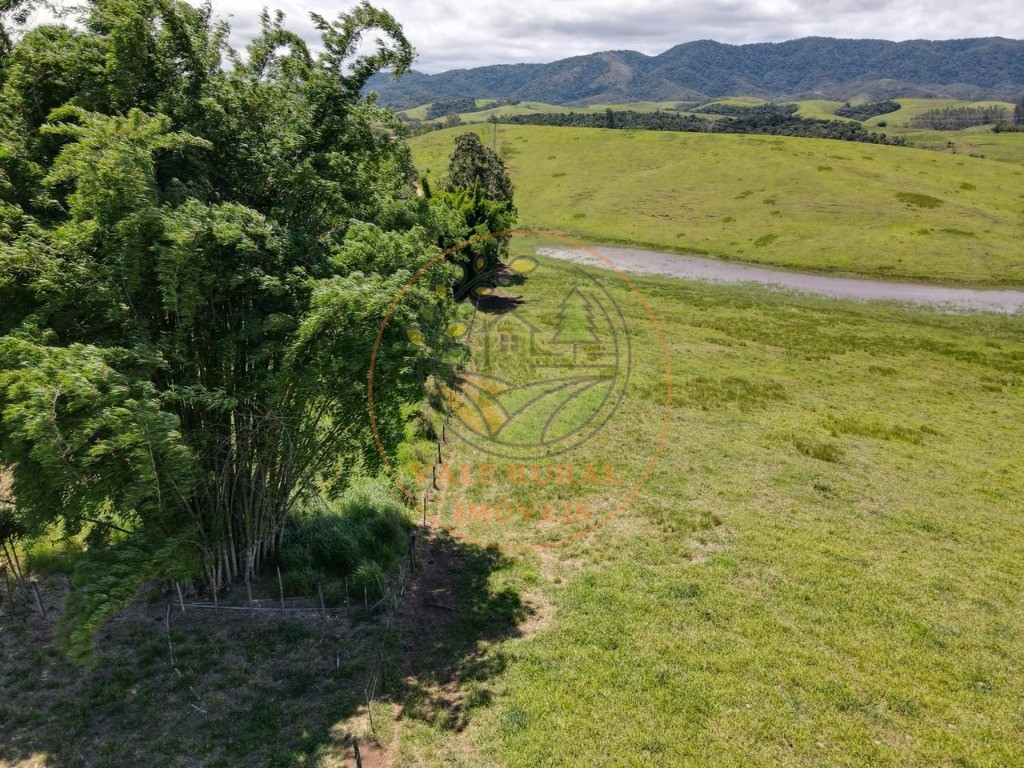 Sítio, 2 quartos, 2 hectares - Foto 9
