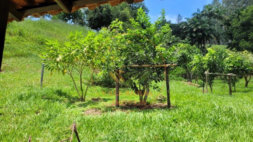 Chácara, 6 quartos - Foto 37