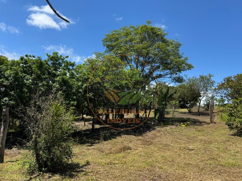 Sítio, 2 quartos, 2 hectares - Foto 41