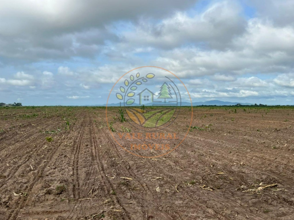 Fazenda, 6 quartos - Foto 12