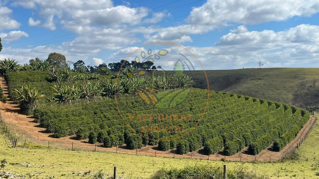 Fazenda - Foto 1
