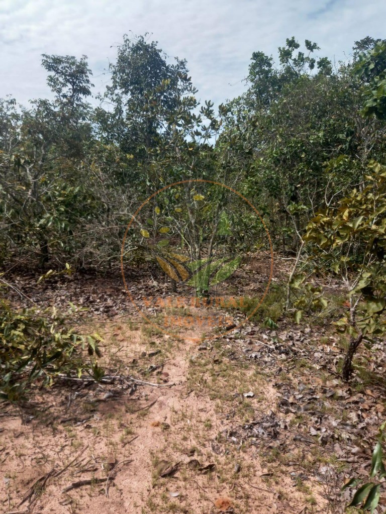 Fazenda - Foto 27