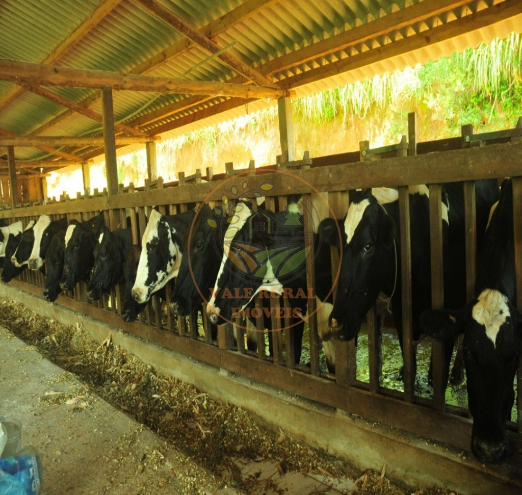 Fazenda, 317 m² - Foto 6