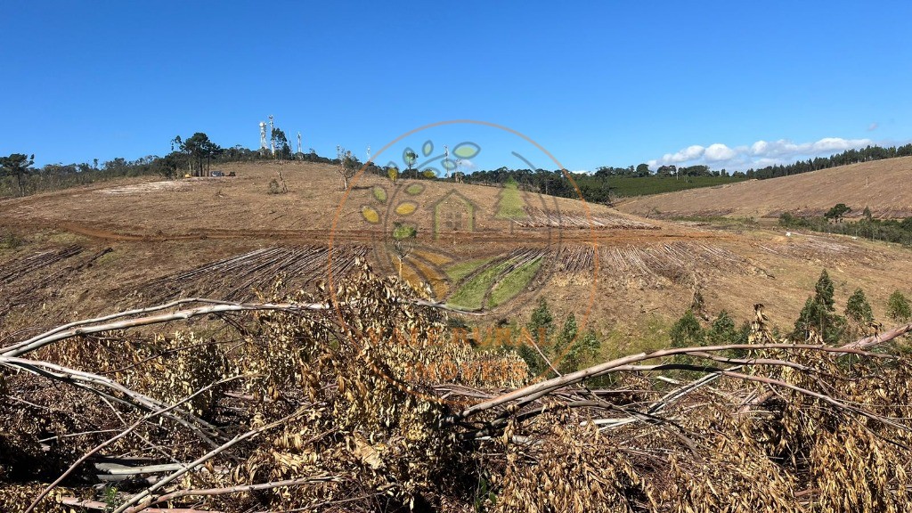 Fazenda - Foto 17