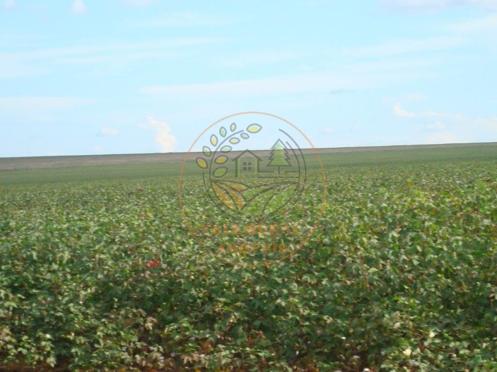 Fazenda, 3 quartos - Foto 7