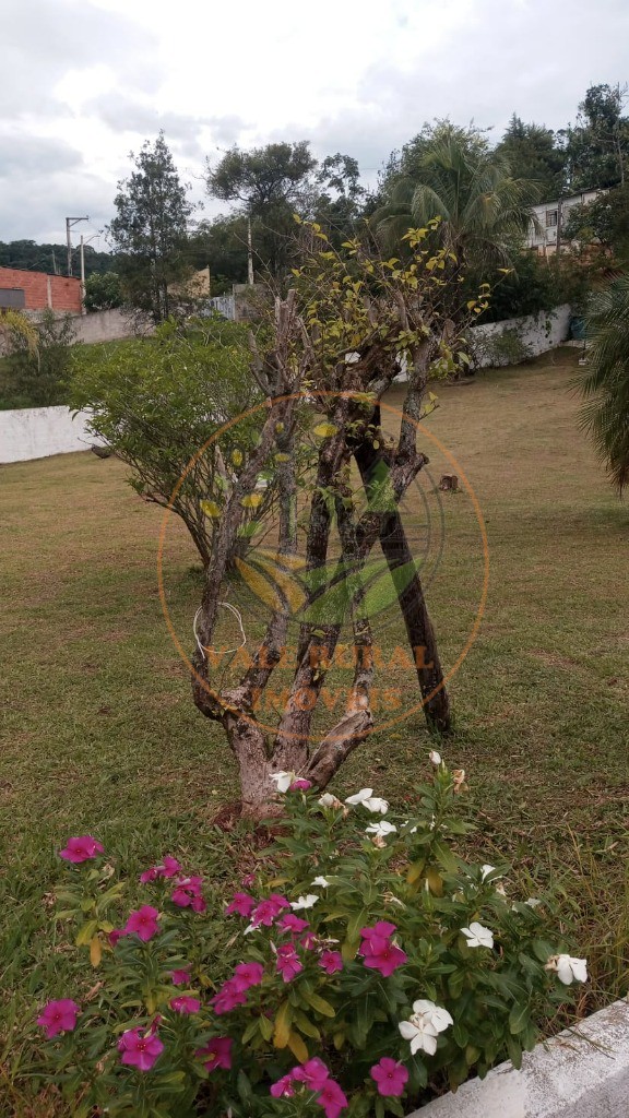 Chácara, 4 quartos - Foto 42