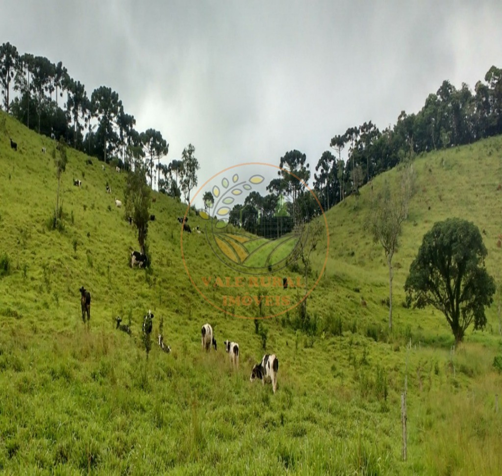 Fazenda, 317 m² - Foto 14