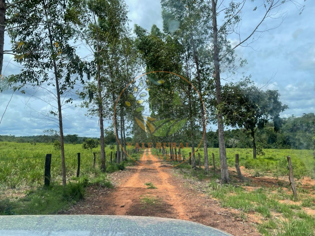 Fazenda, 5 quartos - Foto 14