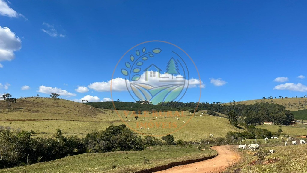 Fazenda - Foto 11