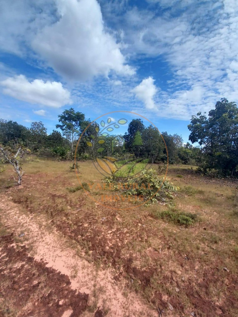 Fazenda - Foto 7