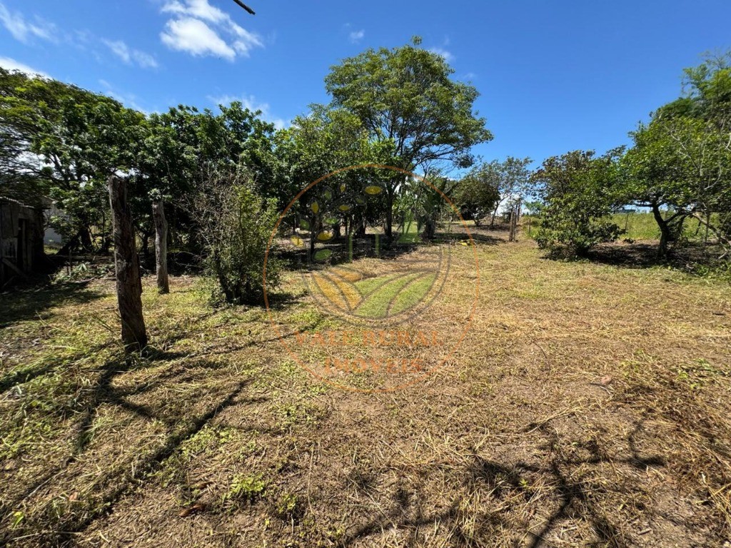 Sítio, 2 quartos, 2 hectares - Foto 45