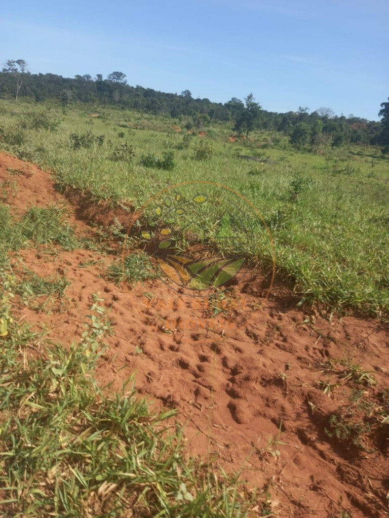Fazenda - Foto 1