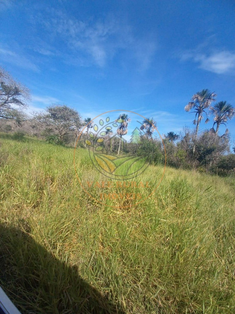 Fazenda - Foto 19