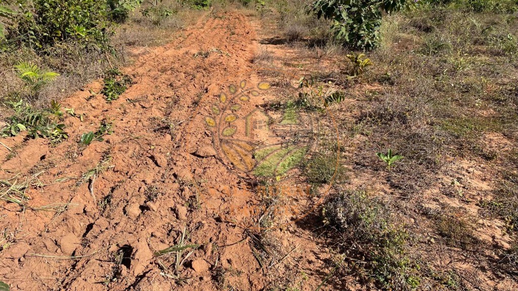Fazenda, 3 quartos - Foto 7
