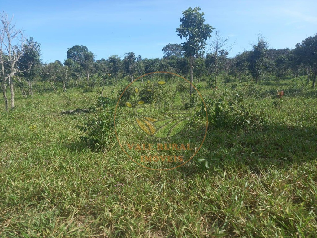 Fazenda - Foto 18