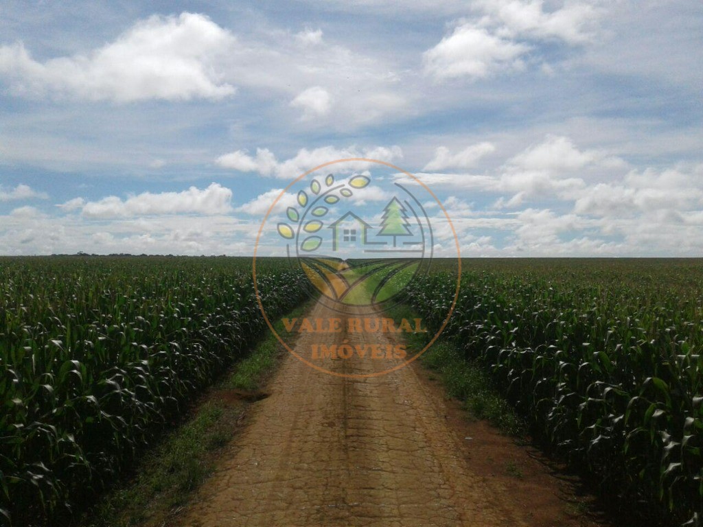 Fazenda, 3 quartos - Foto 5