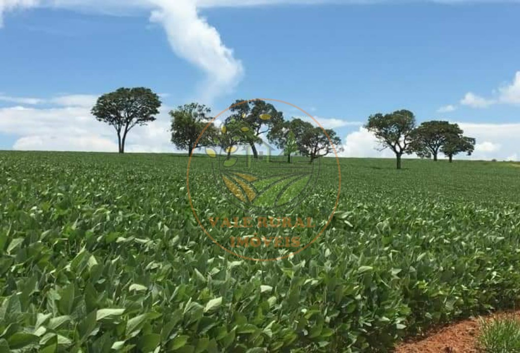 Fazenda, 6 quartos - Foto 7