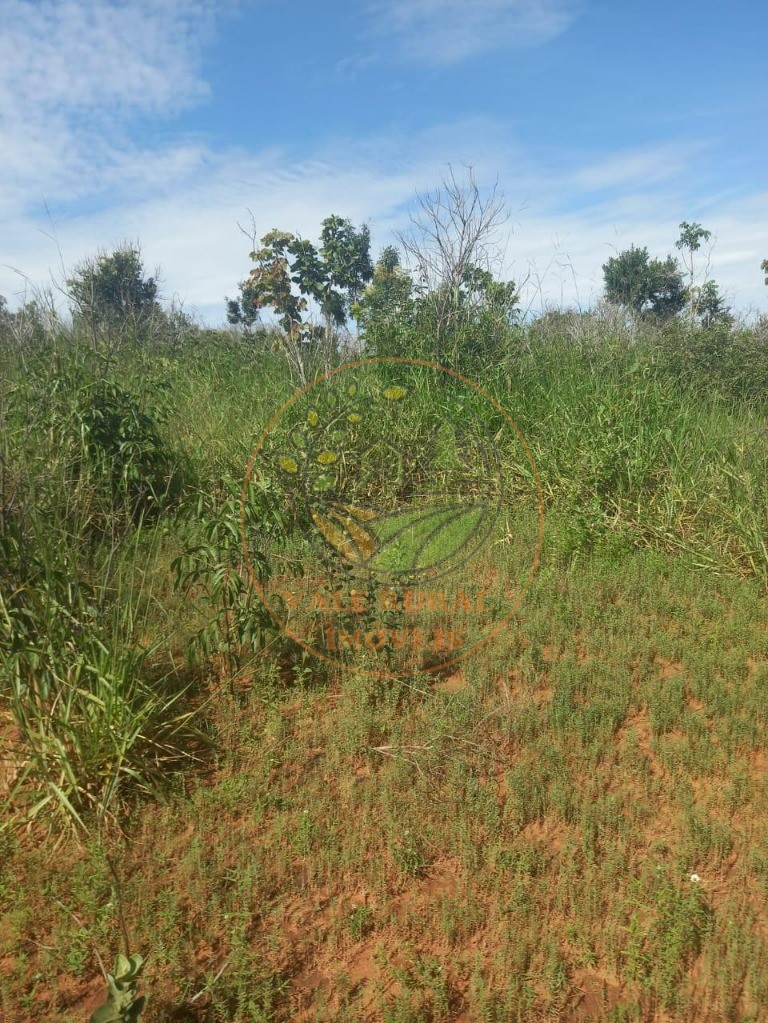 Fazenda - Foto 20