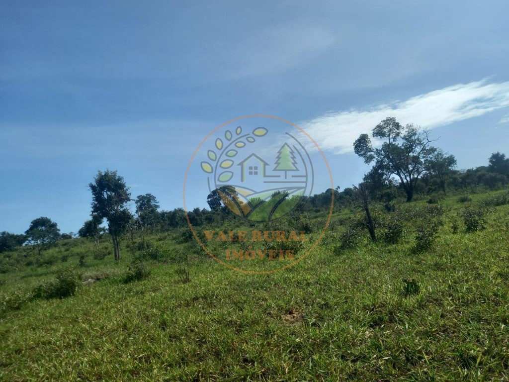 Fazenda - Foto 14