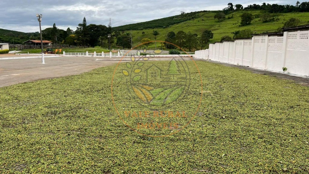 Fazenda - Foto 16