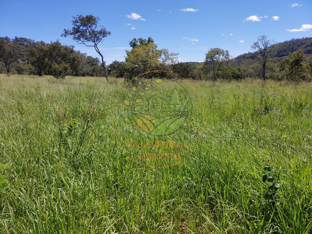 Fazenda, 5 quartos - Foto 3