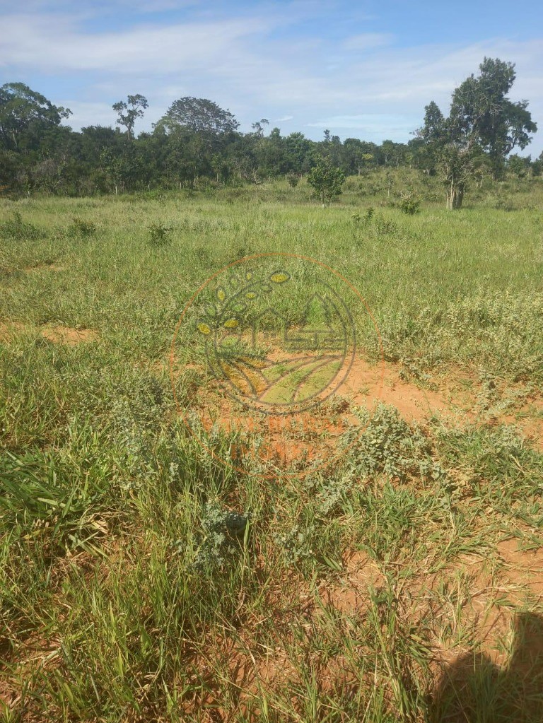 Fazenda - Foto 12
