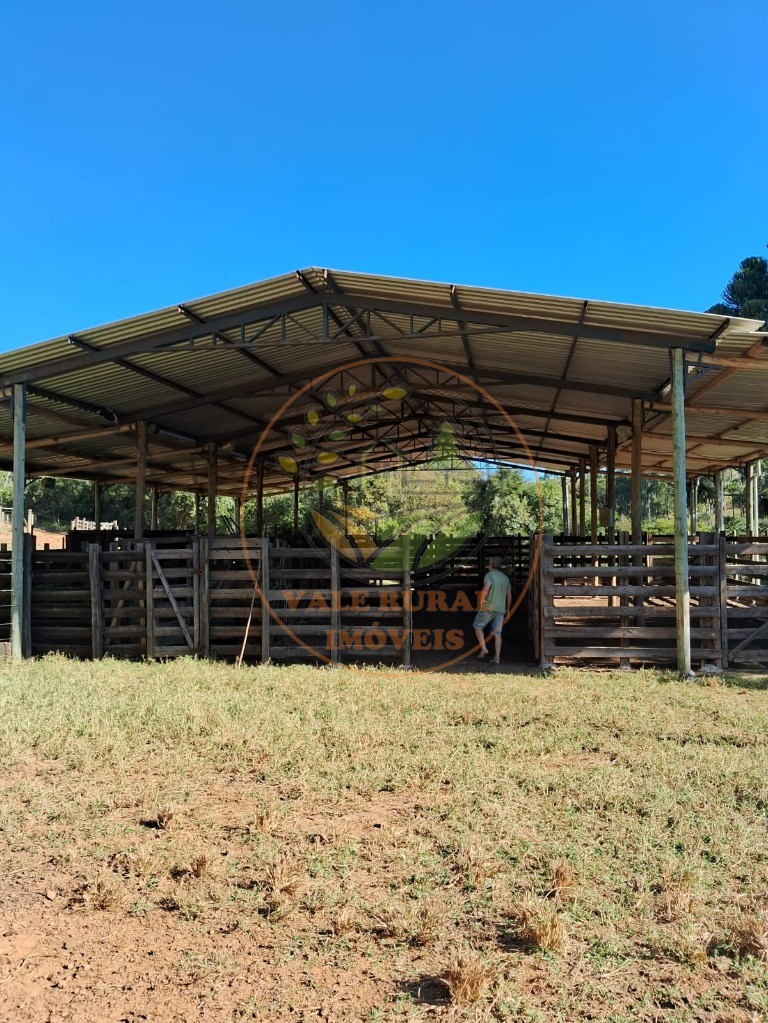 Fazenda, 3 quartos - Foto 22