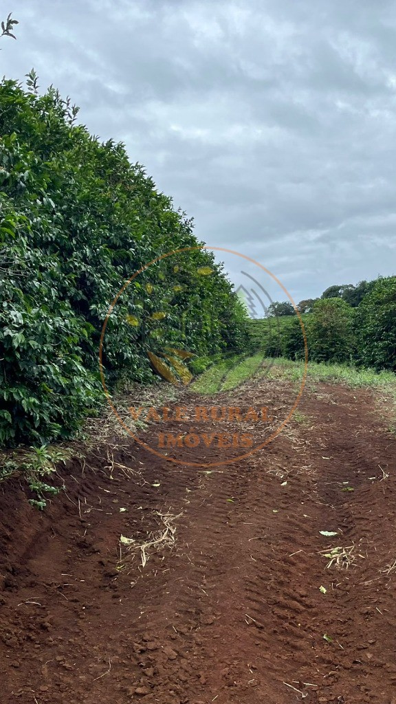 Fazenda - Foto 8