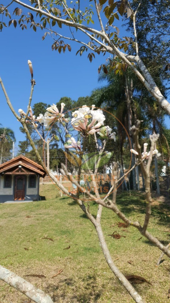 Chácara, 2 quartos - Foto 8