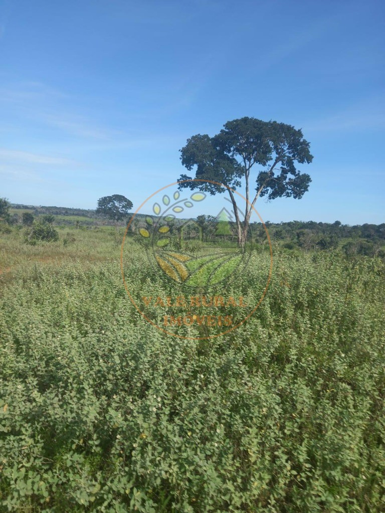 Fazenda - Foto 16