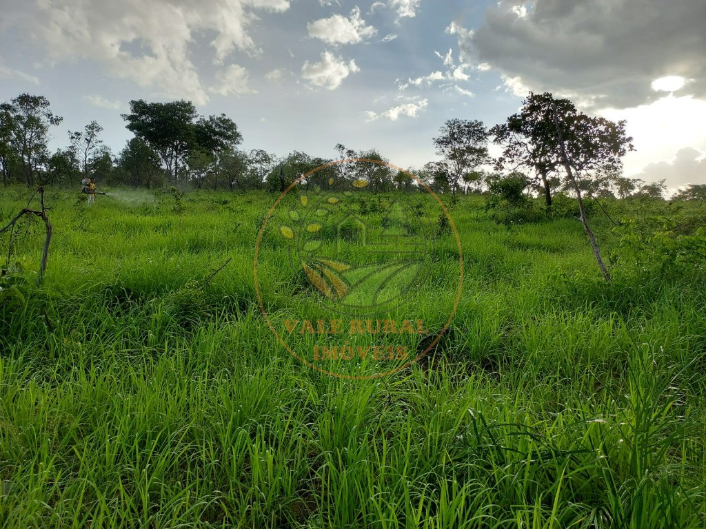 Fazenda, 5 quartos - Foto 4