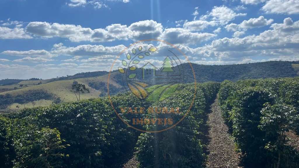 Fazenda - Foto 9