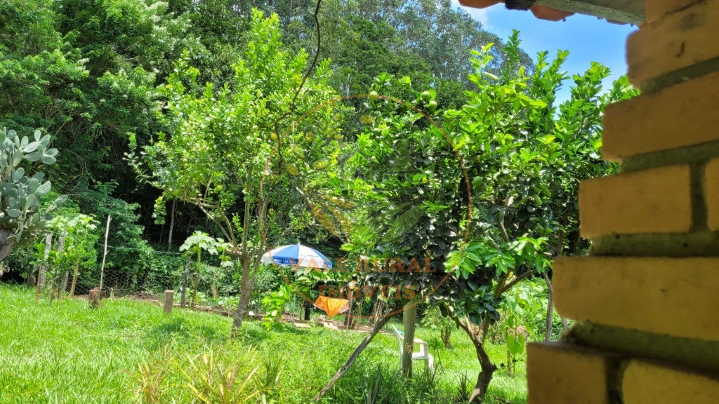 Chácara, 6 quartos - Foto 39