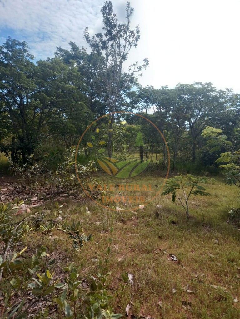 Fazenda - Foto 9