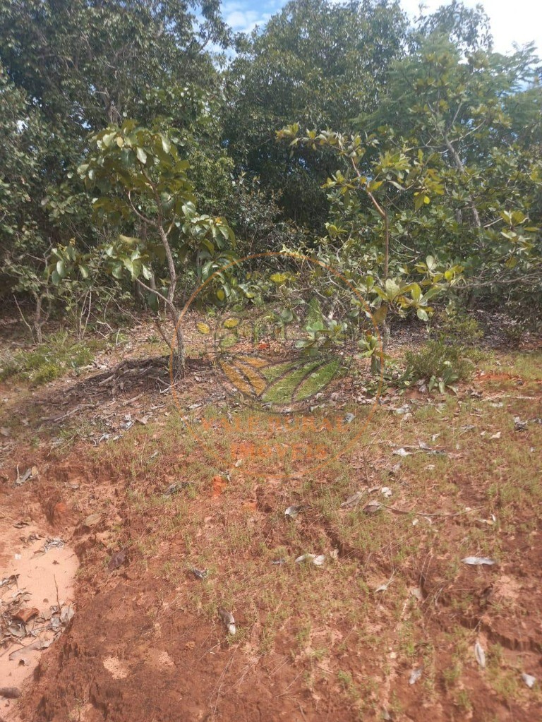 Fazenda - Foto 3