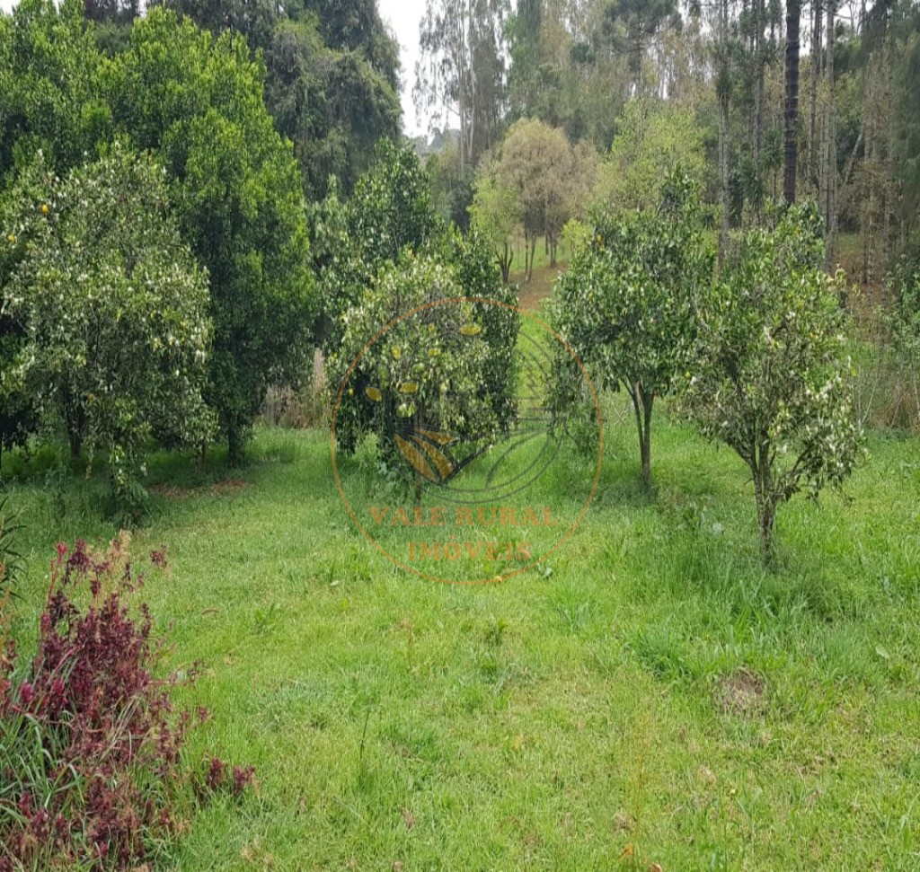 Fazenda, 317 m² - Foto 16