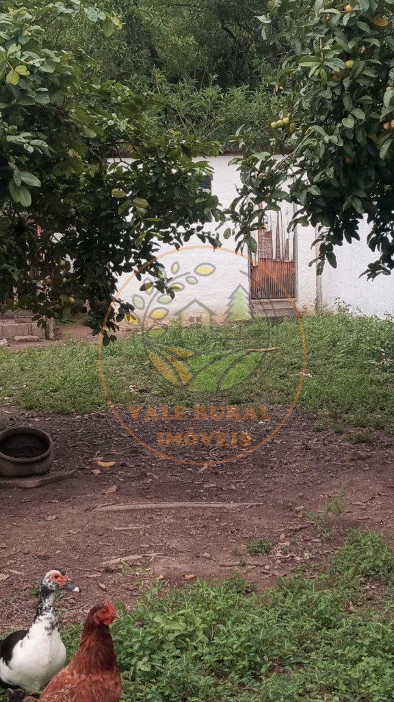 Chácara, 4 quartos - Foto 36