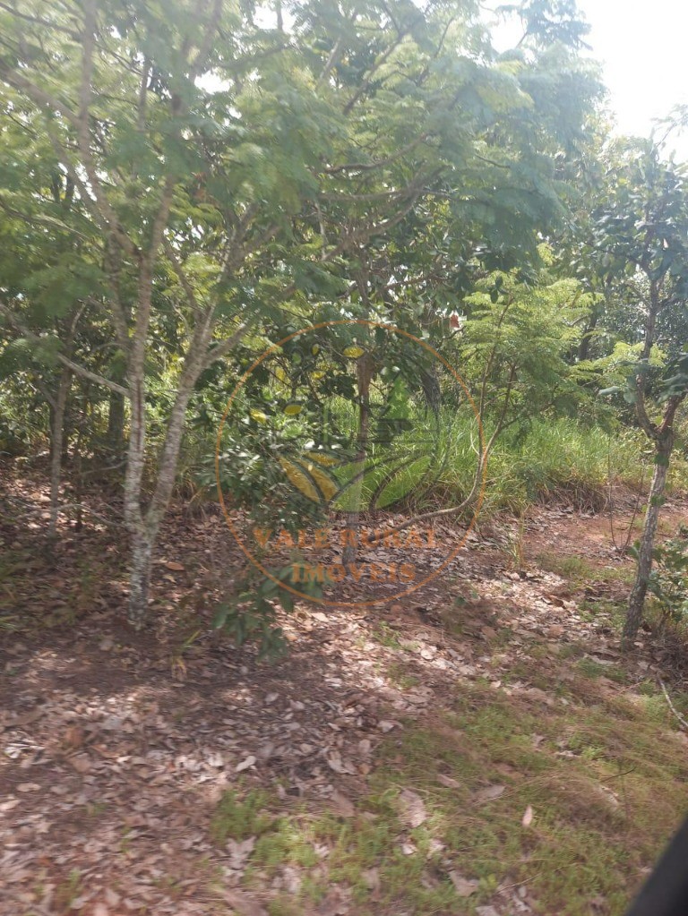 Fazenda - Foto 6
