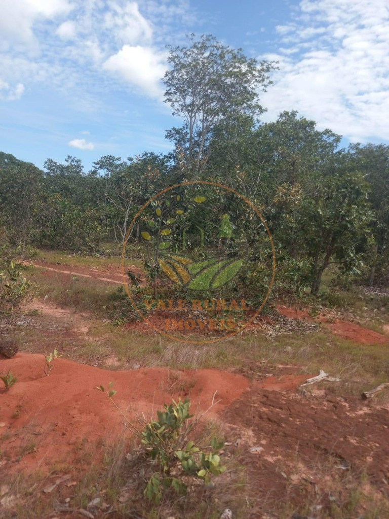 Fazenda - Foto 4