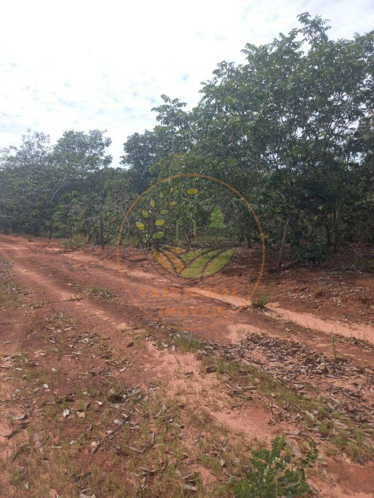Fazenda - Foto 8