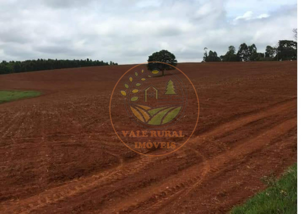 Fazenda, 6 quartos - Foto 5