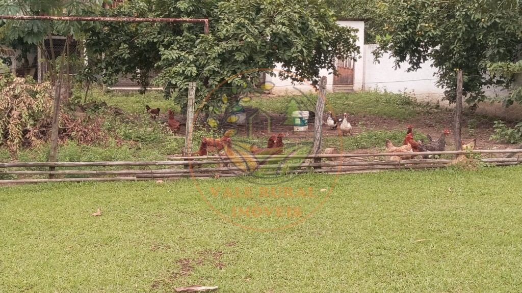 Chácara, 4 quartos - Foto 34