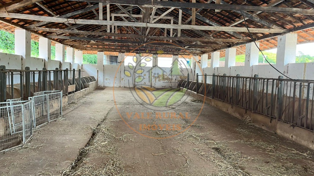 Fazenda - Foto 9