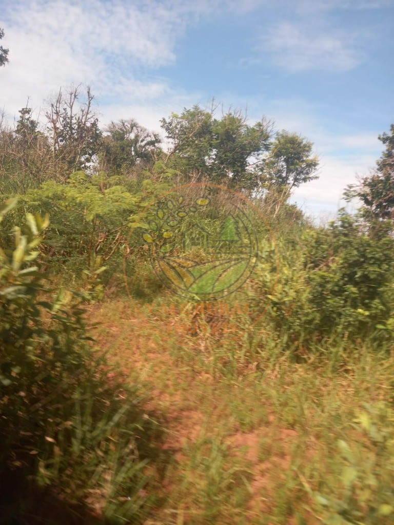 Fazenda - Foto 21