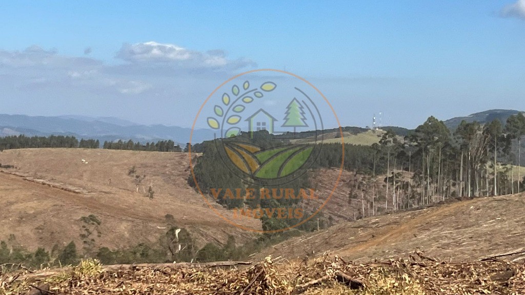 Fazenda - Foto 15