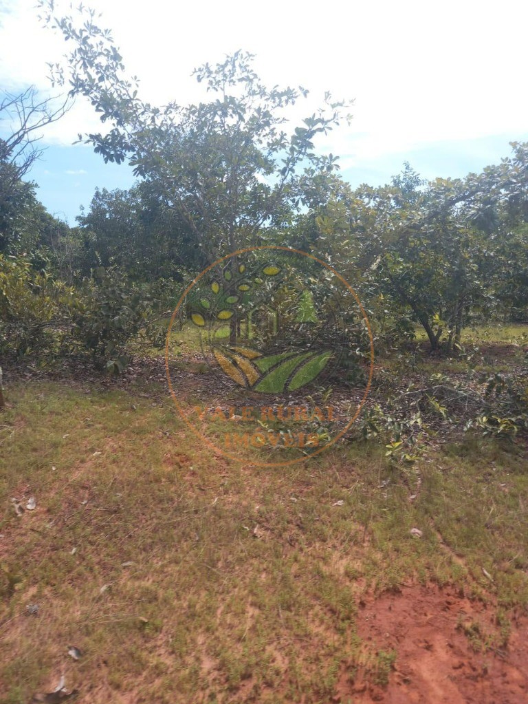 Fazenda - Foto 24
