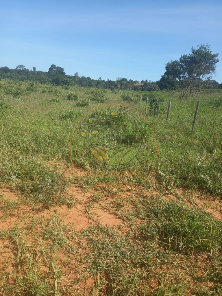 Fazenda - Foto 13