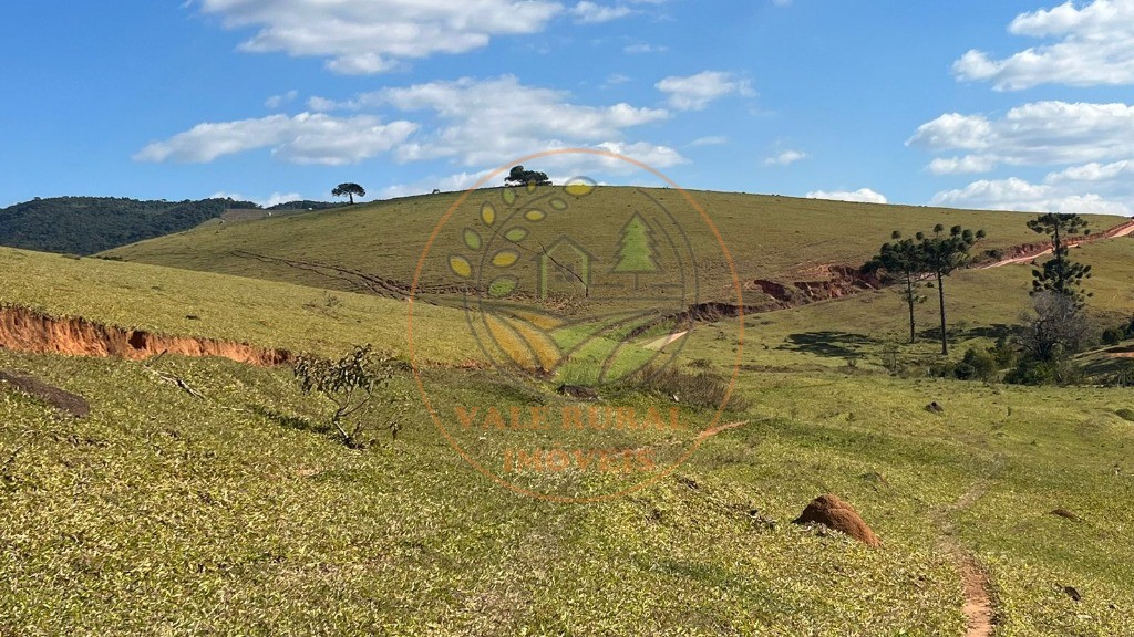 Fazenda - Foto 7