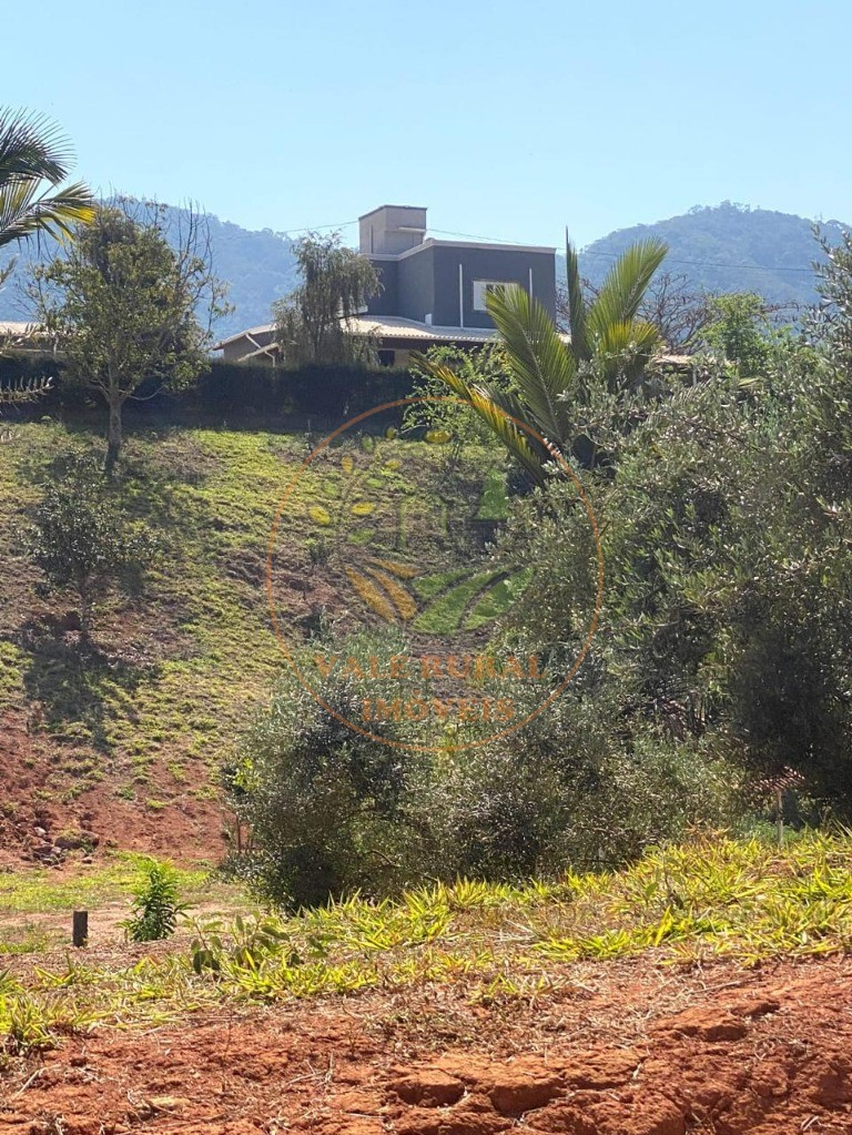 Fazenda, 4 quartos - Foto 6