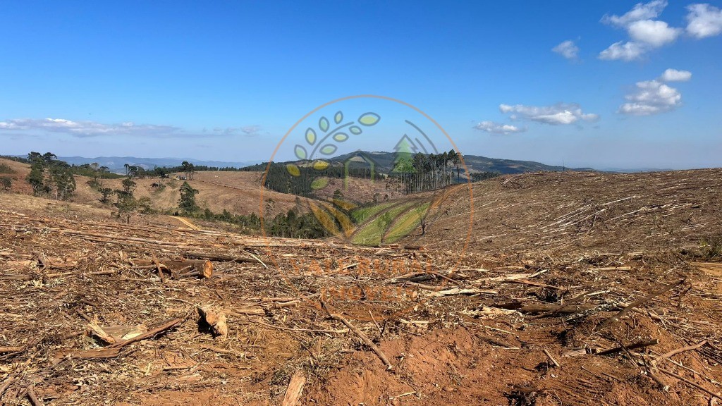 Fazenda - Foto 20